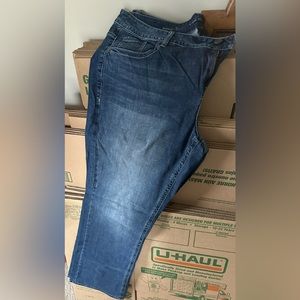 Lane Bryant Jeans - Size 24L